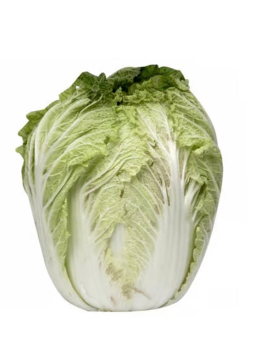 Fresh Napa Cabbage ( Average 1.25 lbs)